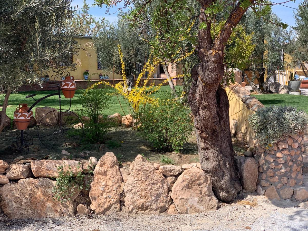 Гостьовий будинок Cortijo Bustamante Баса Екстер'єр фото