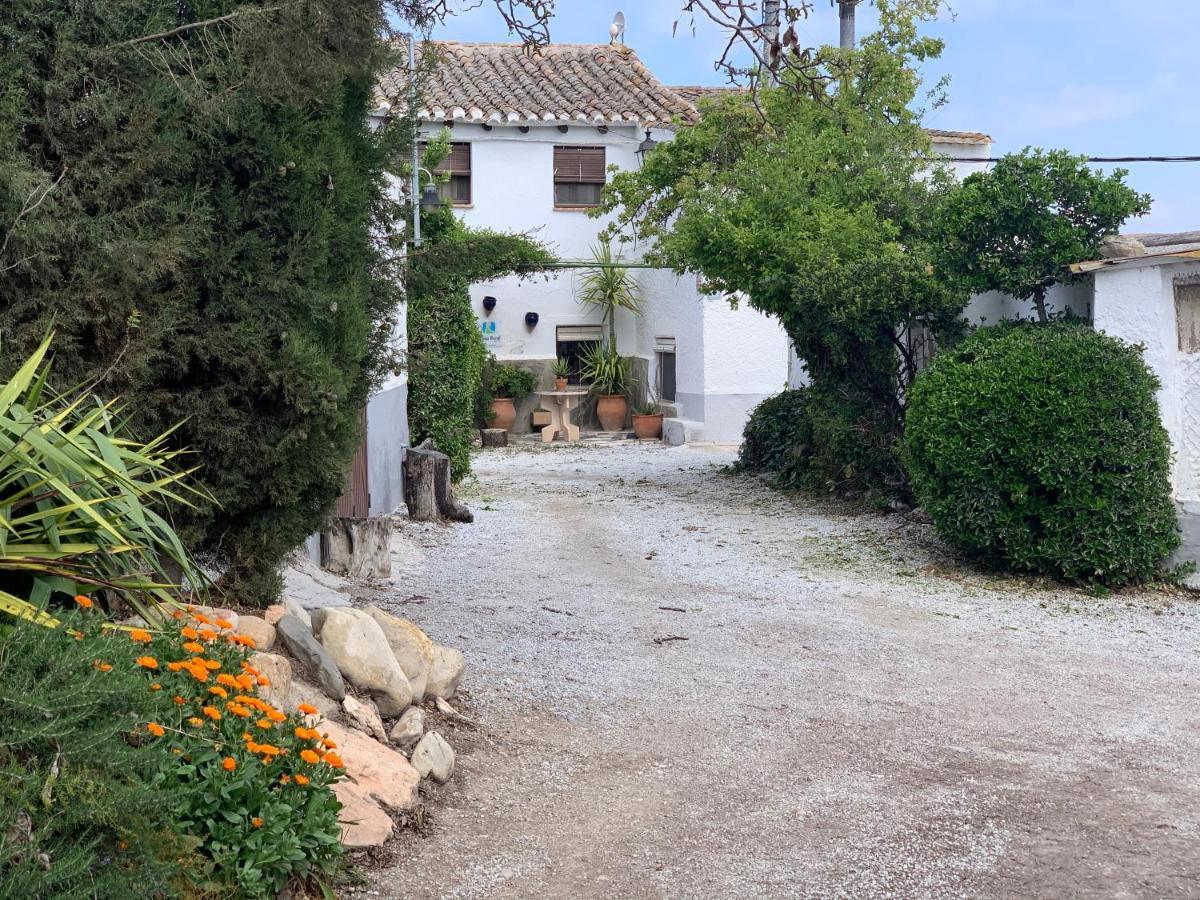 Гостьовий будинок Cortijo Bustamante Баса Екстер'єр фото
