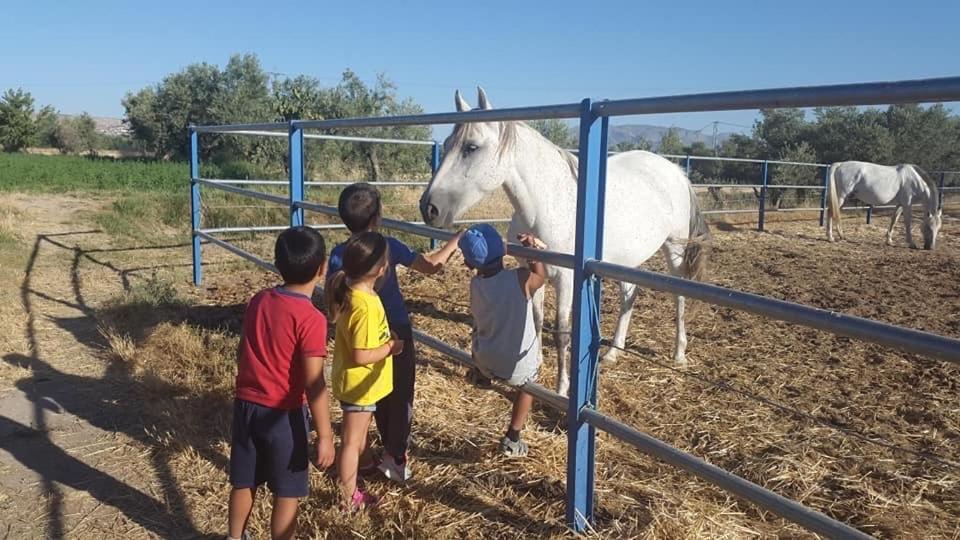 Гостьовий будинок Cortijo Bustamante Баса Екстер'єр фото
